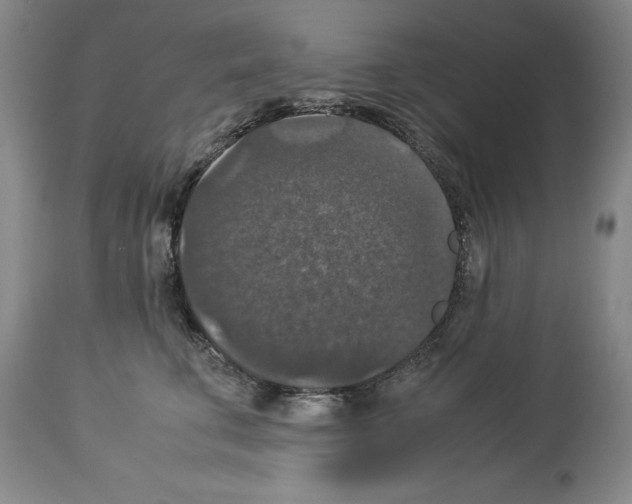 X0000113950711200911061304
