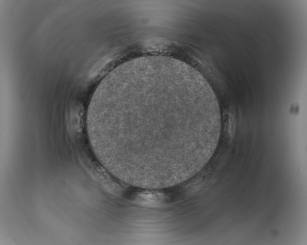 X0000113950712200911061303