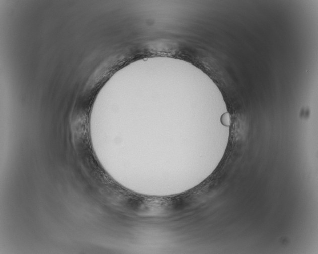 X0000113950713200911061303