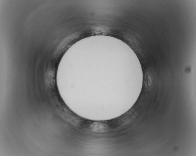 X0000113950714200911061303