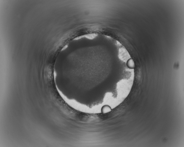 X0000113950715200911061303