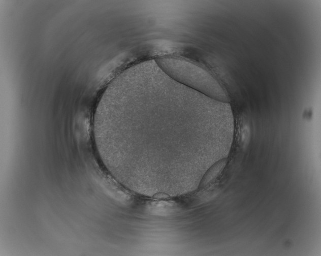 X0000113950716200911061303