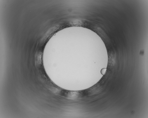 X0000113950717200911061303