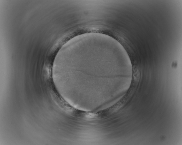 X0000113950718200911061303