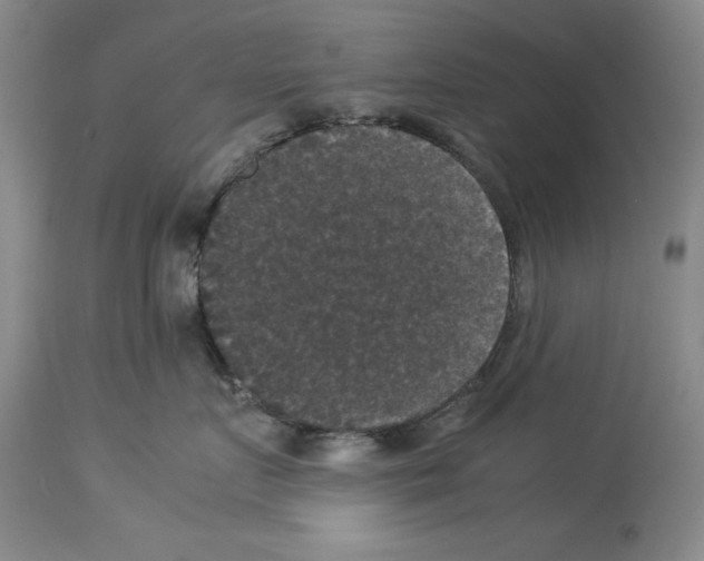 X0000113950719200911061303