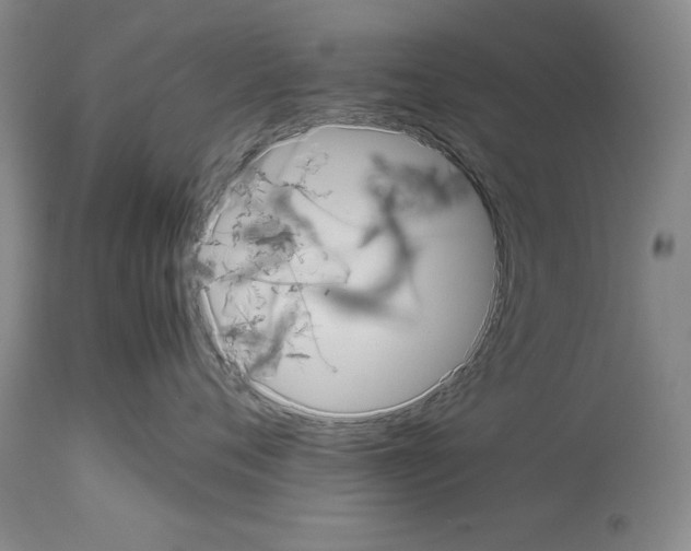 X0000113950720200911061303