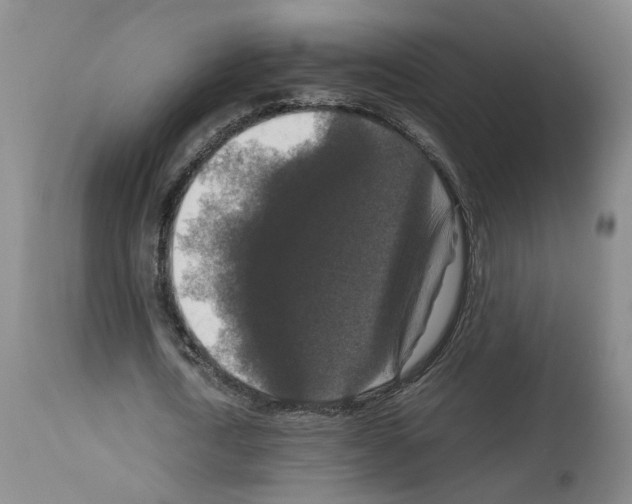 X0000113950722200911061303