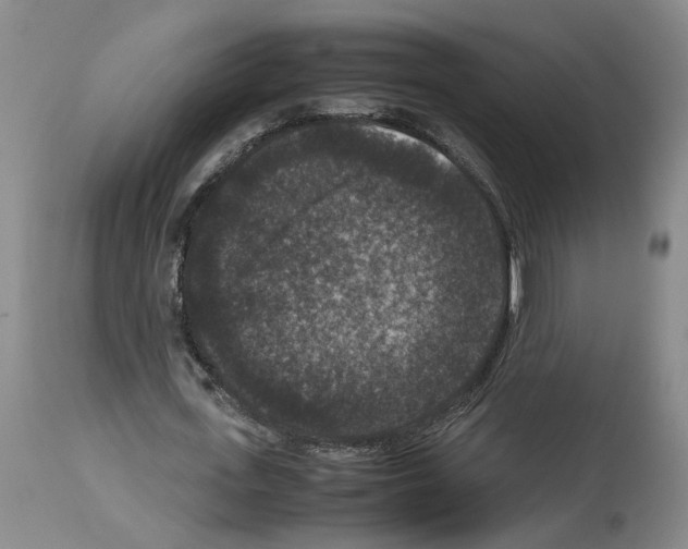 X0000113950723200911061303