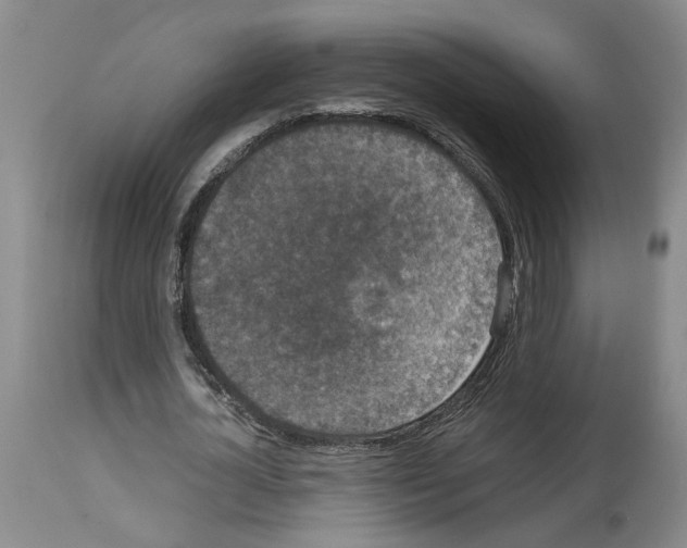 X0000113950724200911061303