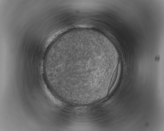 X0000113950725200911061303