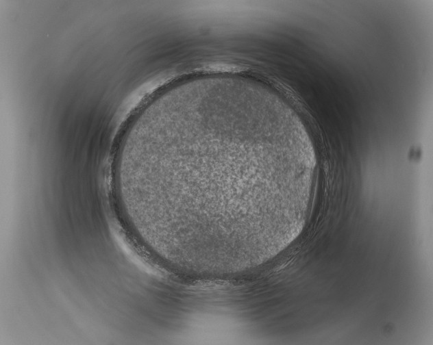 X0000113950726200911061303