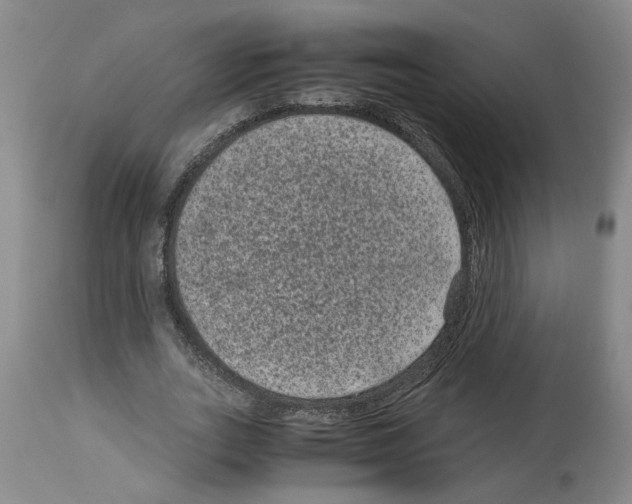 X0000113950727200911061303