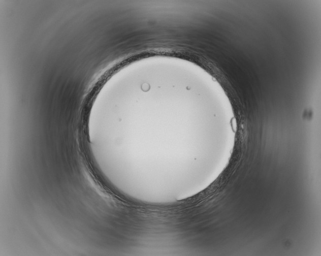 X0000113950728200911061303