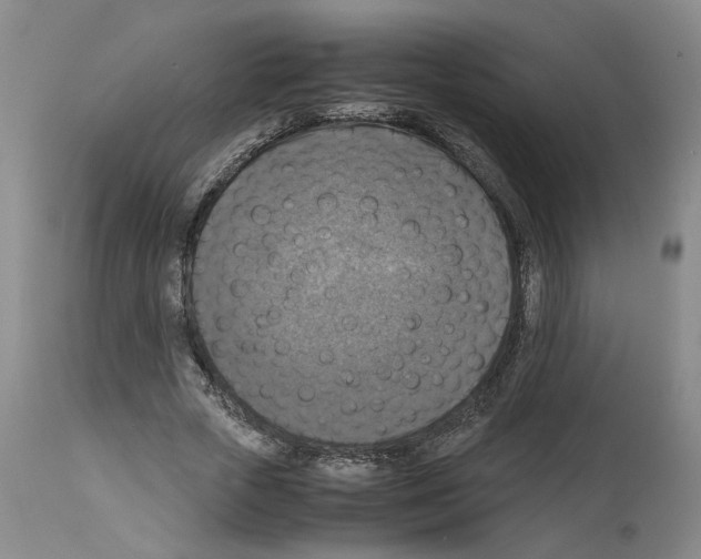 X0000113950729200911061303