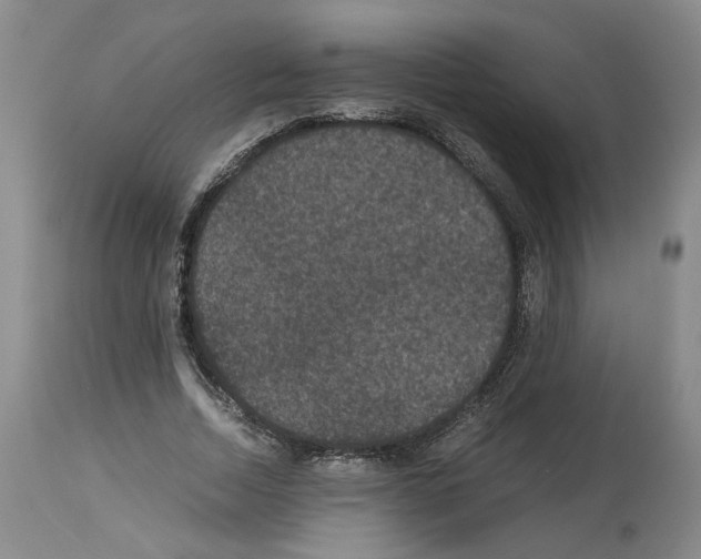 X0000113950730200911061303