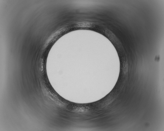 X0000113950731200911061303