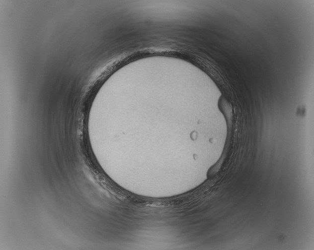 X0000113950732200911061303