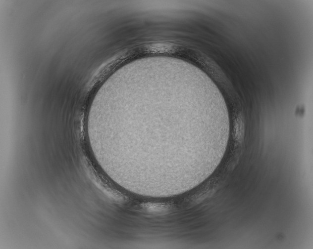 X0000113950733200911061303