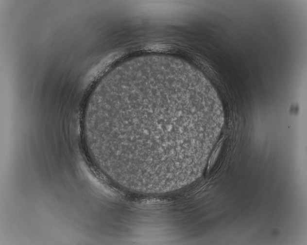X0000113950734200911061303