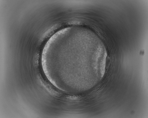 X0000113950735200911061303