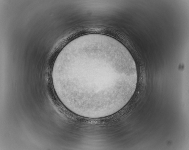 X0000113950736200911061303