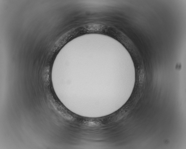 X0000113950737200911061303