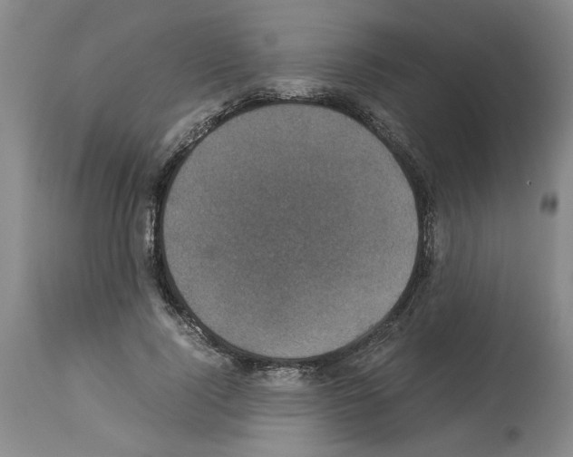 X0000113950740200911061303