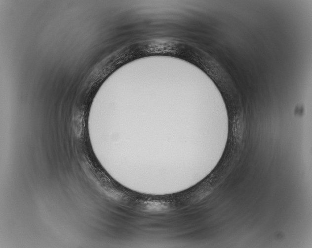 X0000113950741200911061303