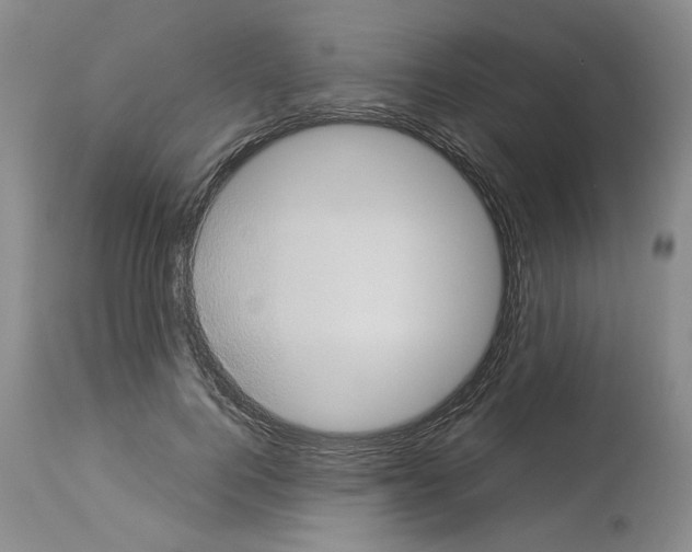 X0000113950744200911061303