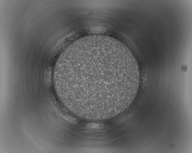 X0000113950745200911061303