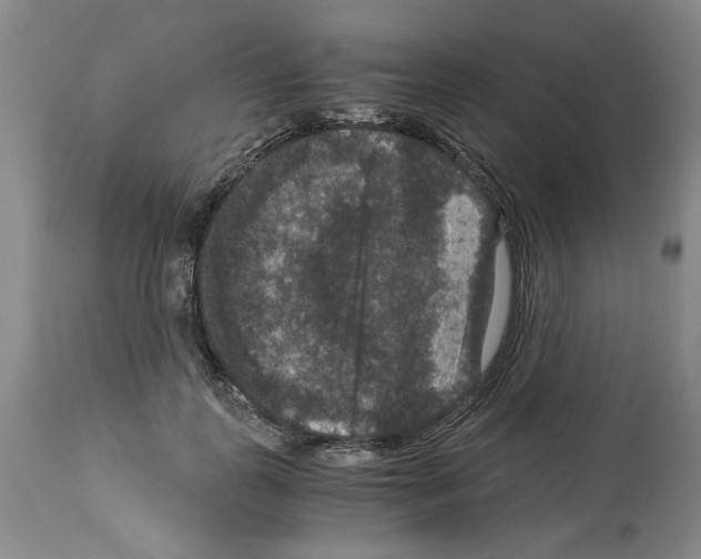 X0000113950747200911061303