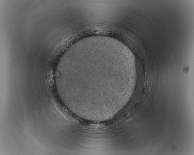 X0000113950748200911061303