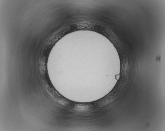 X0000113950749200911061303