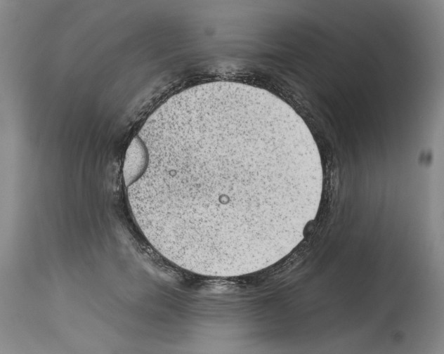 X0000113950750200911061303