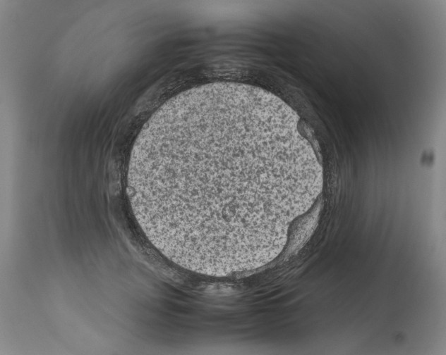 X0000113950751200911061303
