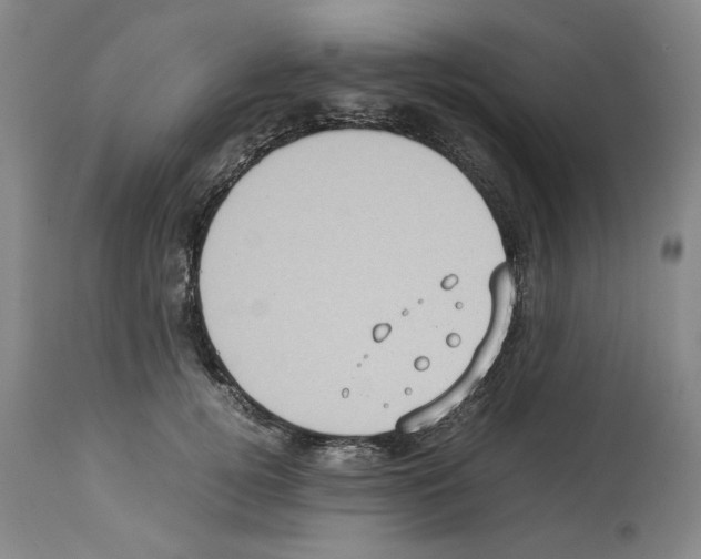 X0000113950752200911061303