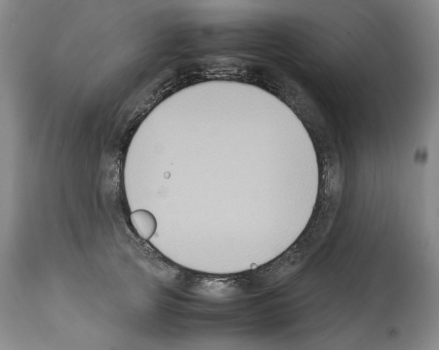 X0000113950753200911061303