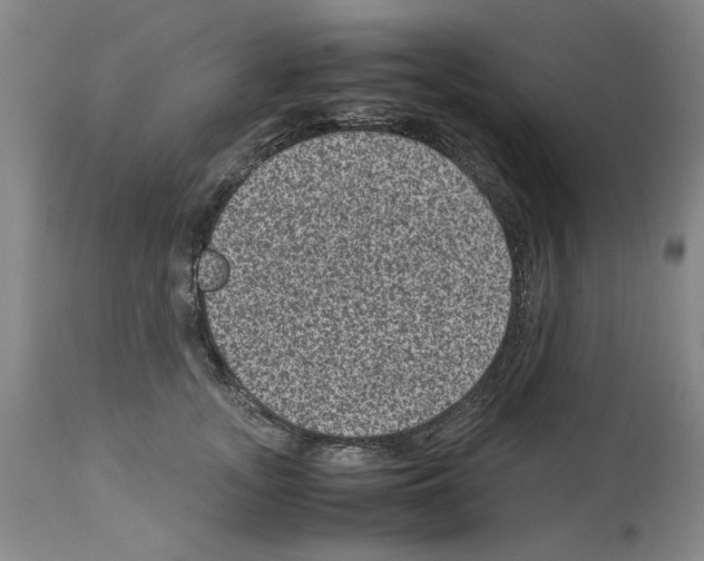 X0000113950755200911061303