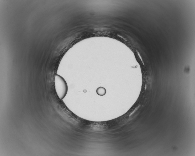 X0000113950756200911061303