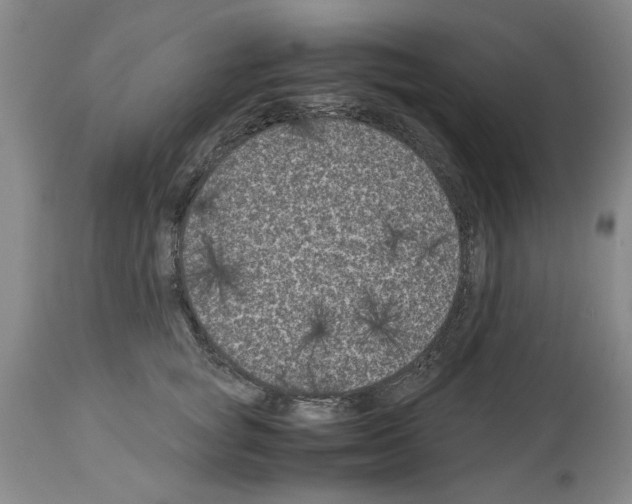 X0000113950757200911061303