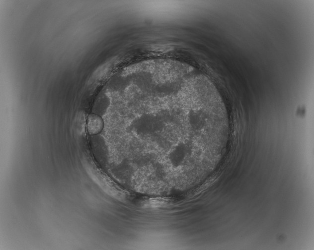 X0000113950758200911061303