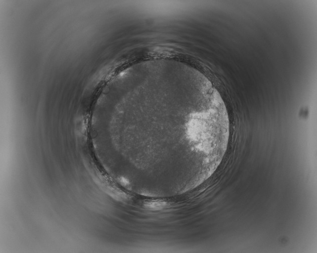 X0000113950759200911061303