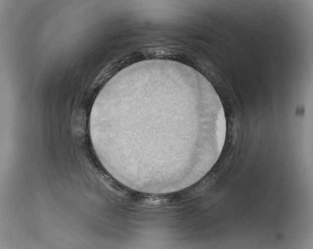 X0000113950760200911061303