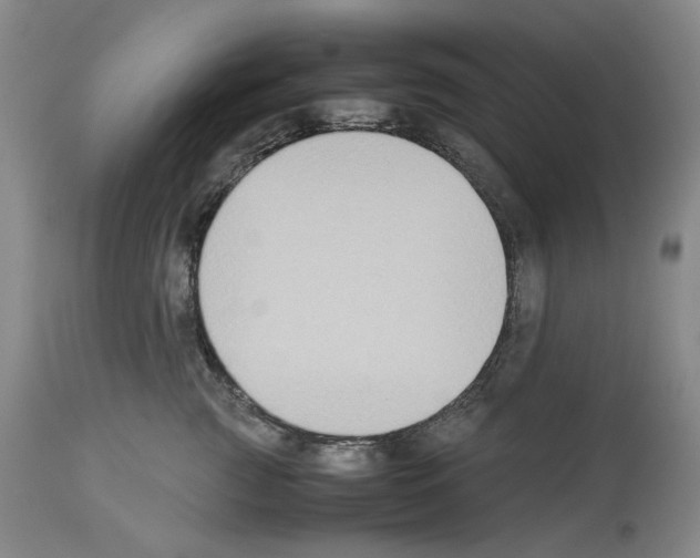 X0000113950761200911061303
