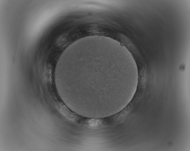 X0000113950762200911061303