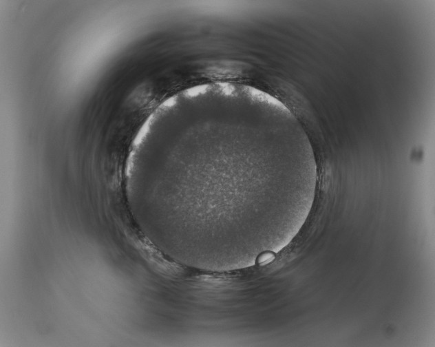 X0000113950763200911061303