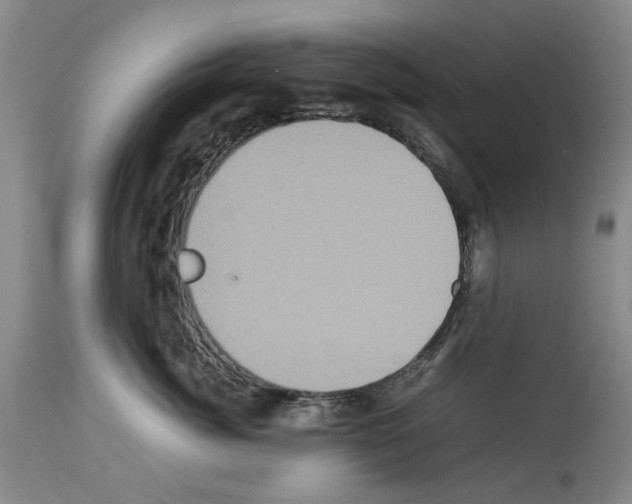 X0000113950764200911061303