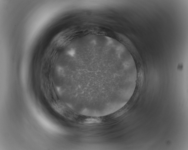 X0000113950765200911061303