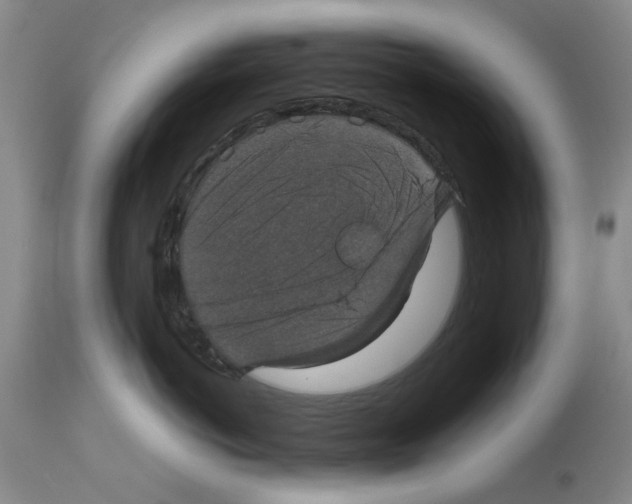 X0000113950766200911061303