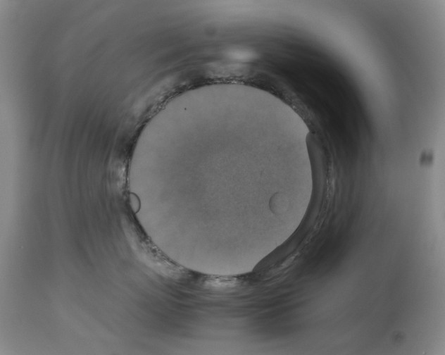 X0000113950767200911061303